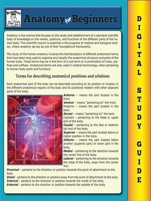 cover image of Anatomy For Beginners ( Blokehead Easy Study Guide)